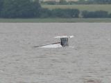 IMG_0321 * 693 x 522 * (62KB)