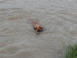 IMG_0359 * 1844 x 1384 * (413KB)
