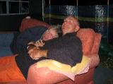 IMG_0380 * 2816 x 2112 * (1.72MB)