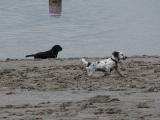 IMG_0481 * 1908 x 1436 * (410KB)