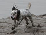 IMG_0483 * 1132 x 854 * (159KB)