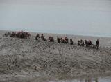IMG_0486 * 2816 x 2112 * (1.7MB)