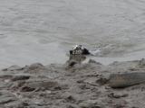 IMG_0488 * 1472 x 1104 * (239KB)