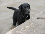 IMG_0494 * 2816 x 2112 * (1.33MB)