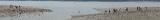 IMG_0508 * 14509 x 1859 * (4.76MB)